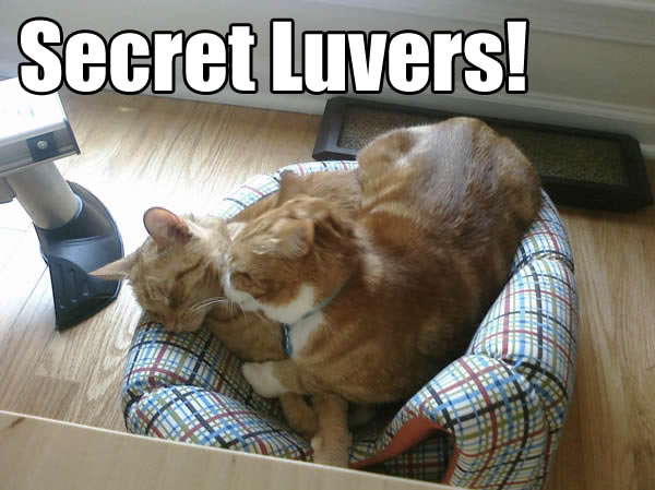 Secret Luvers!