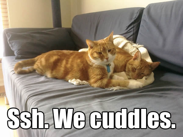Ssh. We cuddles.